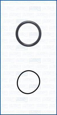 Tarpiklių rinkinys, įkroviklis AJUSA 77024700