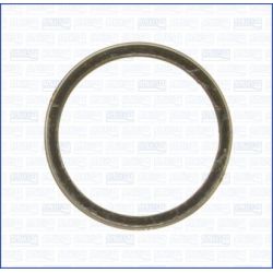 Tarpiklis, išleidimo kolektorius AJUSA 19001900