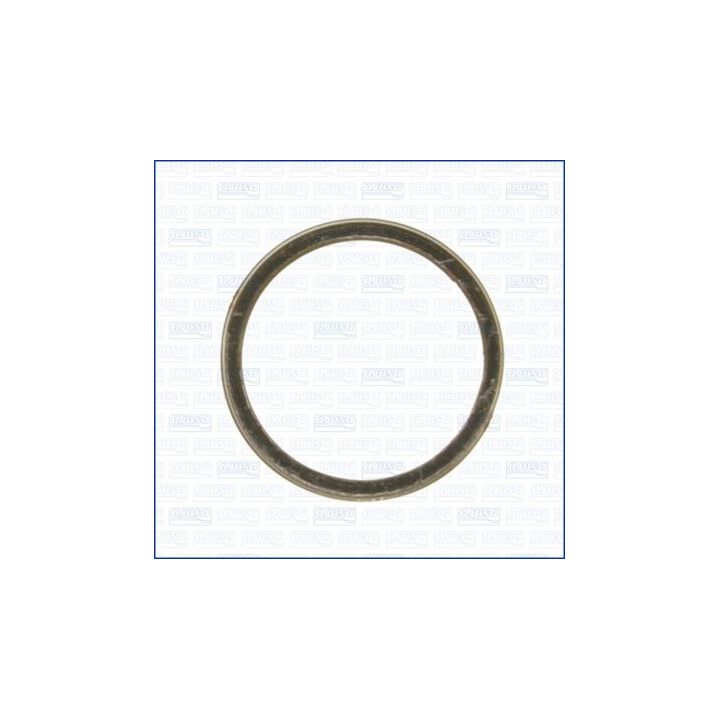 Tarpiklis, išleidimo kolektorius AJUSA 19001900