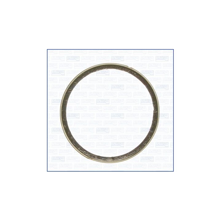 Tarpiklis, išleidimo kolektorius AJUSA 19004000