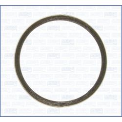 Tarpiklis, išleidimo kolektorius AJUSA 19004100