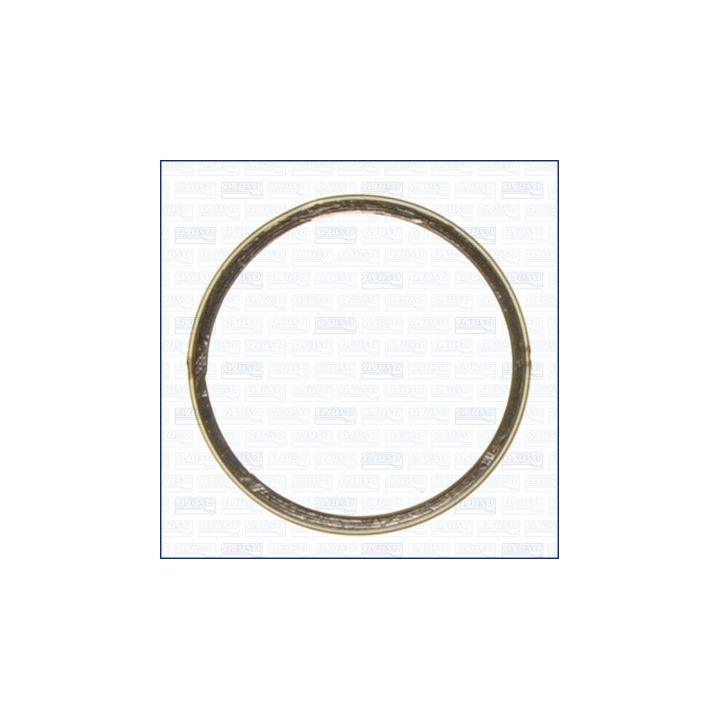 Tarpiklis, išleidimo kolektorius AJUSA 19005300