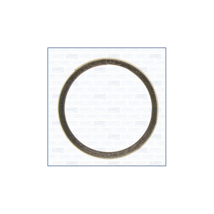 Tarpiklis, išleidimo kolektorius AJUSA 19005500