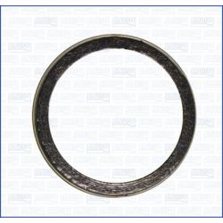 Tarpiklis, išleidimo kolektorius AJUSA 19006200