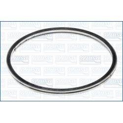 Tarpiklis, išleidimo kolektorius AJUSA 19006300