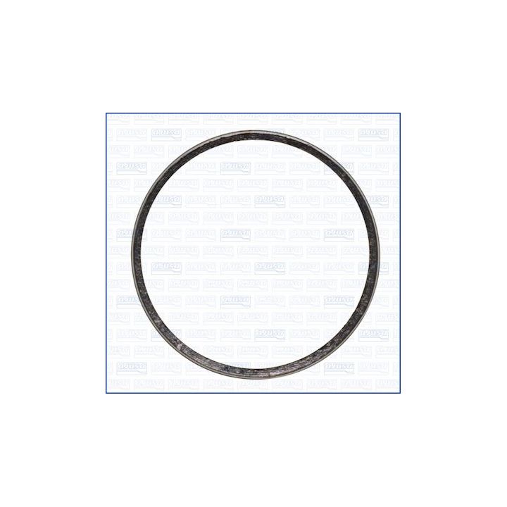 Tarpiklis, išleidimo kolektorius AJUSA 19006300