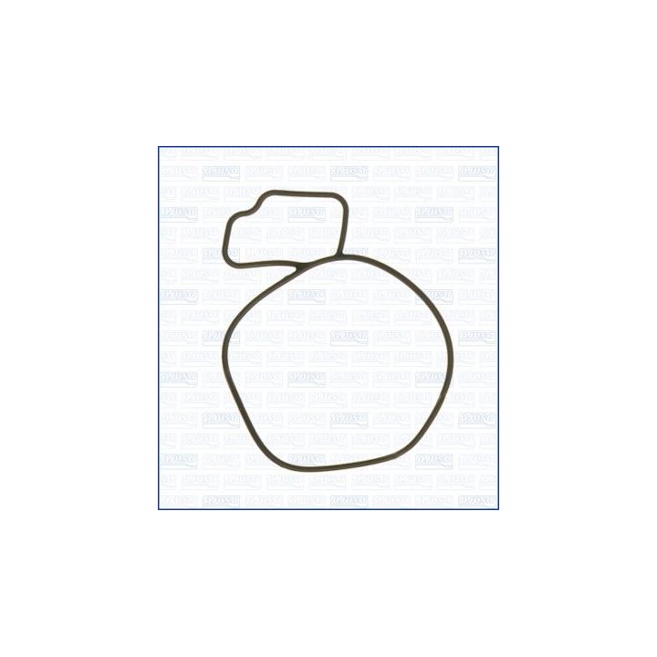 Tarpiklis, vandens siurblys AJUSA 01055200