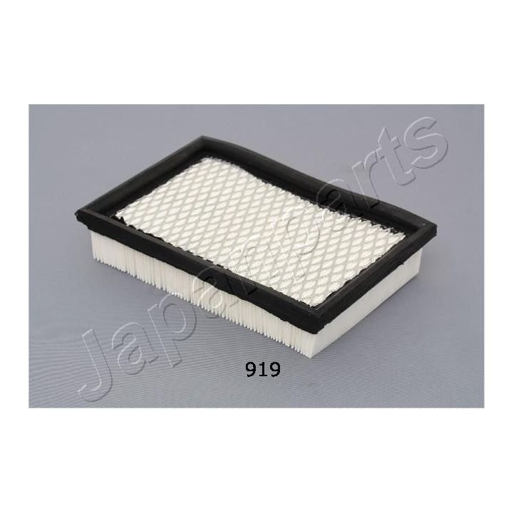 Oro filtras JAPANPARTS FA-919S