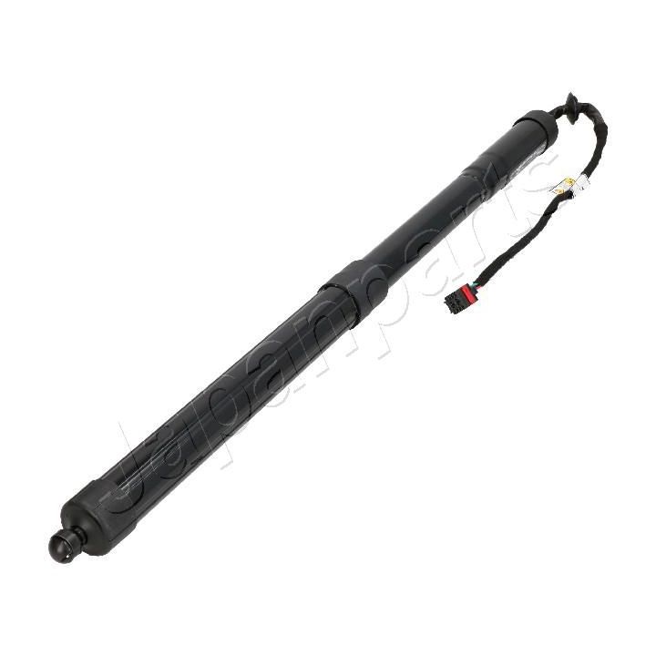 Galinių durų elektros variklis JAPANPARTS ZY-0012