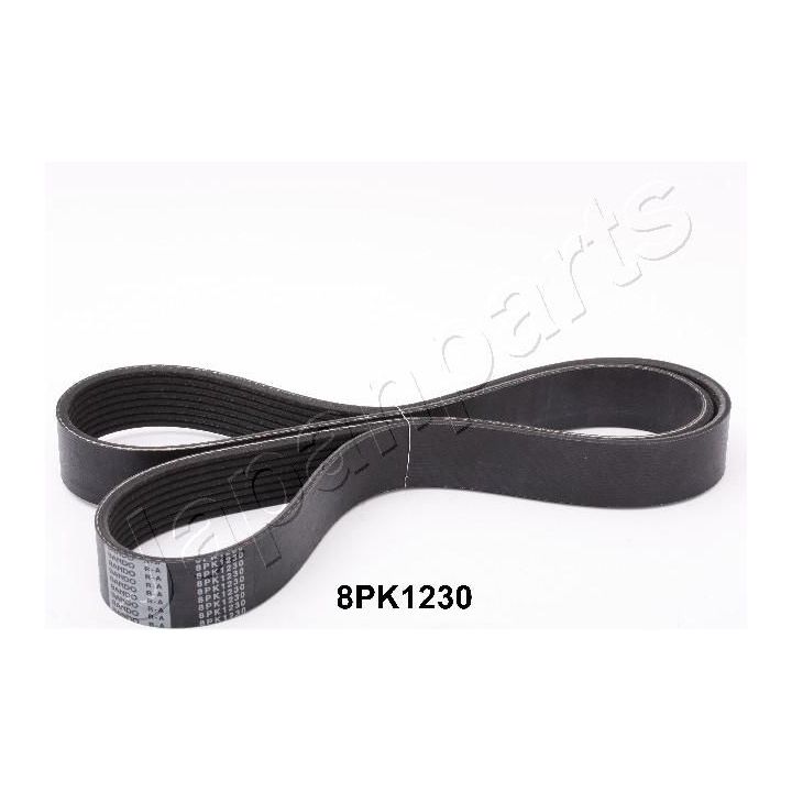 V formos rumbuoti diržai JAPANPARTS DV-8PK1230