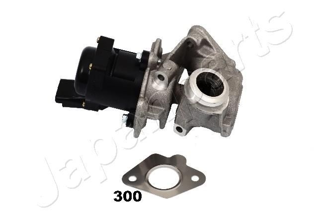 ERG vožtuvas JAPANPARTS EGR-300