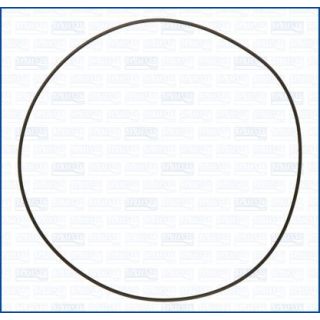 Cilindro įvorės tarpiklis AJUSA 16091000