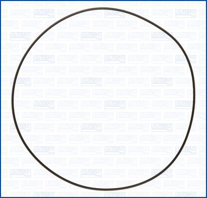 Cilindro įvorės tarpiklis AJUSA 16091000