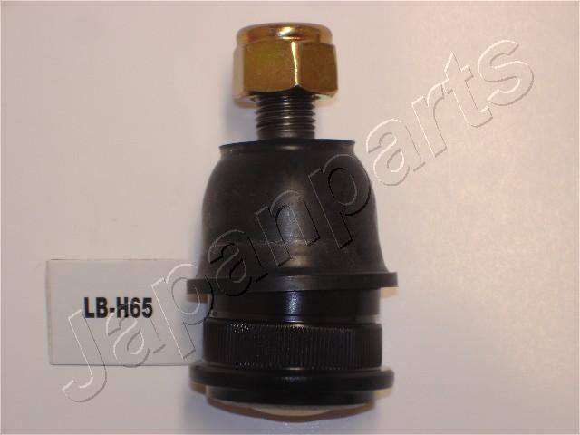 Šarnyras / girgždukas JAPANPARTS LB-H65