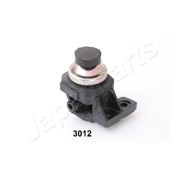 Variklio montavimas JAPANPARTS RU-3012