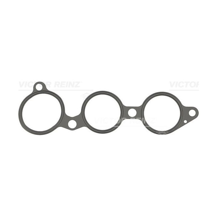 Tarpiklis, įsiurbimo kolektoriaus korpusas VICTOR REINZ 71-54191-00