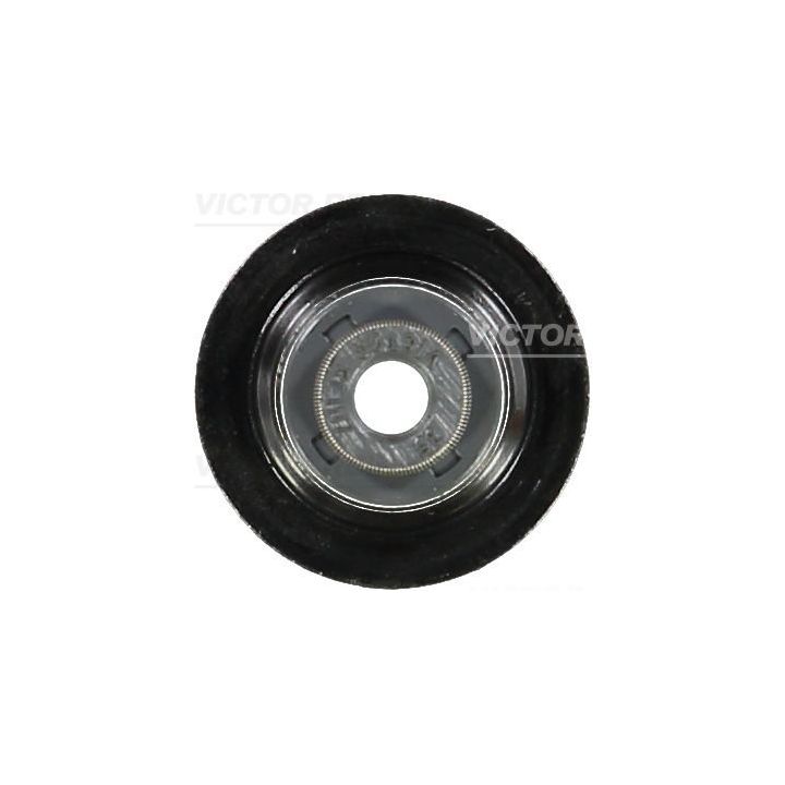 Tarpiklis, vožtuvo šerdis VICTOR REINZ 70-54093-00