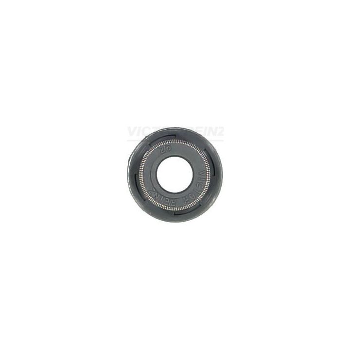 Tarpiklis, vožtuvo šerdis VICTOR REINZ 70-54169-00