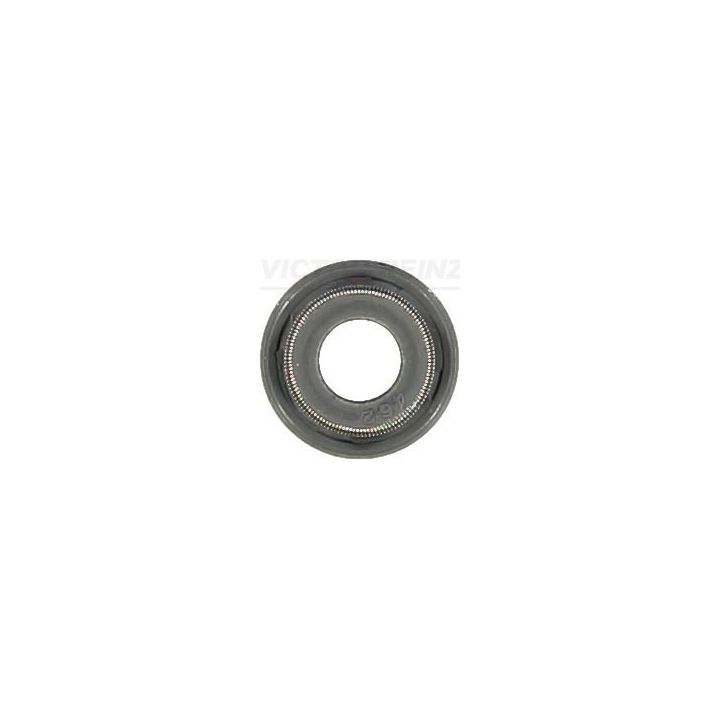 Tarpiklis, vožtuvo šerdis VICTOR REINZ 70-54281-00