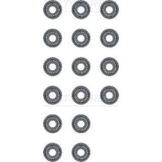 Tarpiklių komplektas, vožtuvo šerdis VICTOR REINZ 12-53678-01