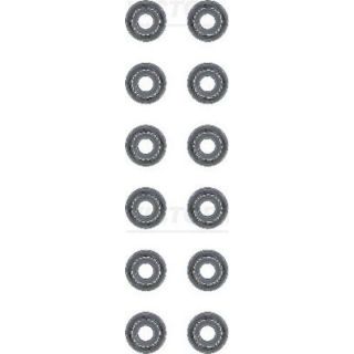 Tarpiklių komplektas, vožtuvo šerdis VICTOR REINZ 12-53678-02