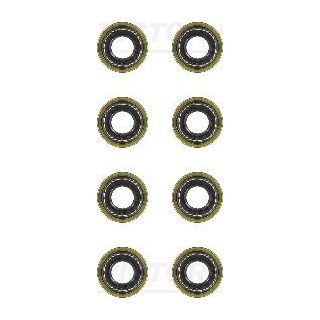 Tarpiklių komplektas, vožtuvo šerdis VICTOR REINZ 12-53924-01