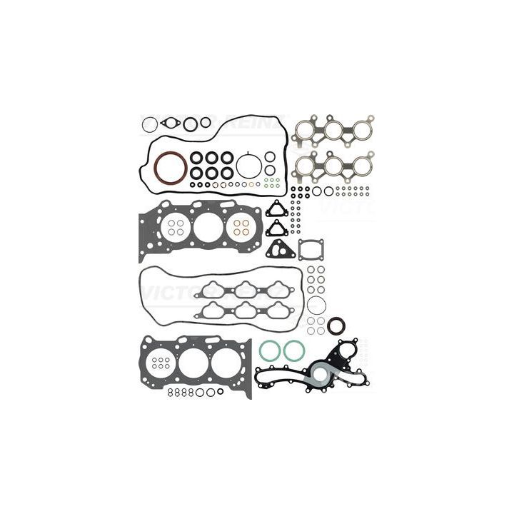 Visas tarpiklių komplektas, variklis VICTOR REINZ 01-54250-02