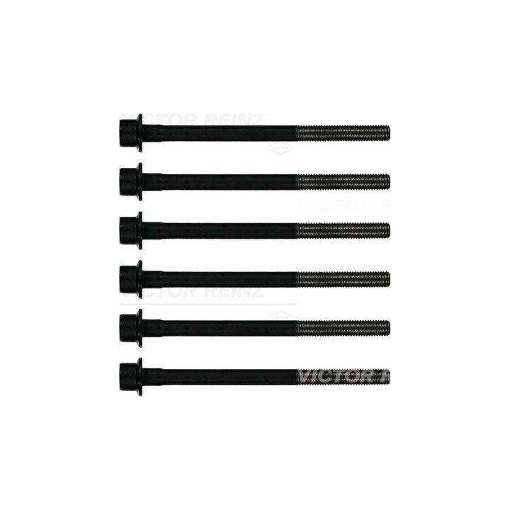 Varžtų kompl., cil. galvutės varžtai VICTOR REINZ 14-32376-01