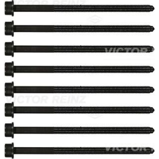 Varžtų kompl., cil. galvutės varžtai VICTOR REINZ 14-32382-01