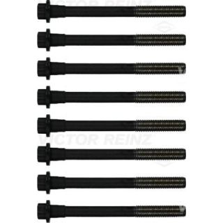 Varžtų kompl., cil. galvutės varžtai VICTOR REINZ 14-32392-01