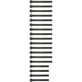 Varžtų kompl., cil. galvutės varžtai VICTOR REINZ 14-55000-01