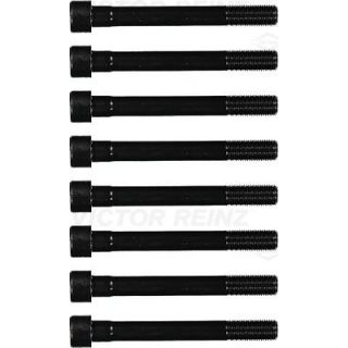 Varžtų kompl., cil. galvutės varžtai VICTOR REINZ 14-55063-01