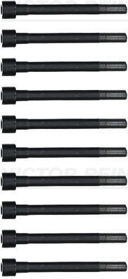 Varžtų kompl., cil. galvutės varžtai VICTOR REINZ 14-55096-01