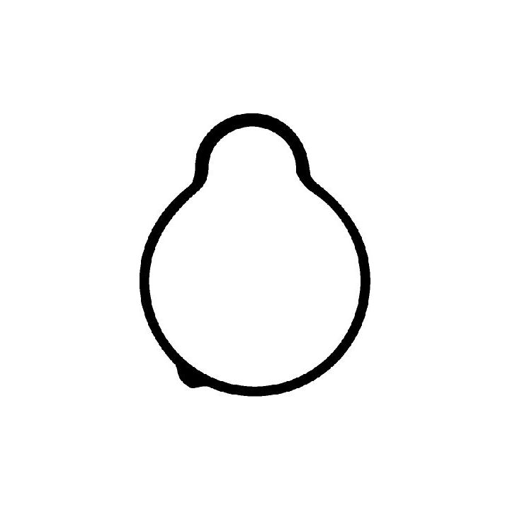 Tarpiklis, įsiurbimo kolektorius CORTECO 026456H