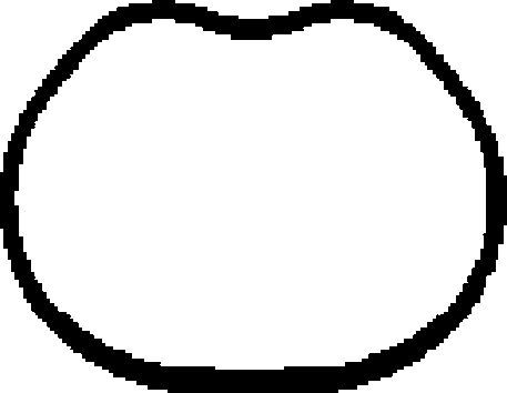 Tarpiklis, įsiurbimo kolektorius CORTECO 450136H