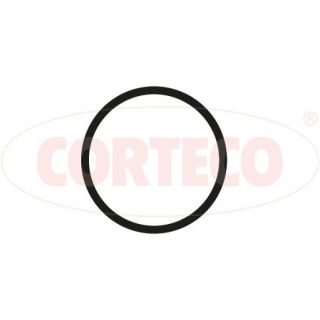 Tarpiklis, įsiurbimo kolektorius CORTECO 450205P