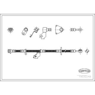 Stabdžių žarnelė CORTECO 19032248