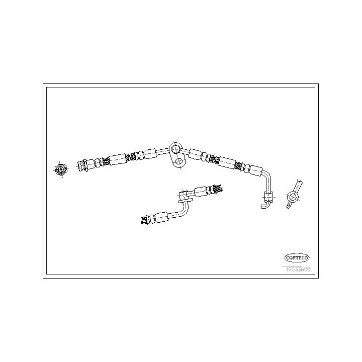 Stabdžių žarnelė CORTECO 19033600