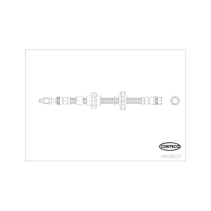 Stabdžių žarnelė CORTECO 19036537