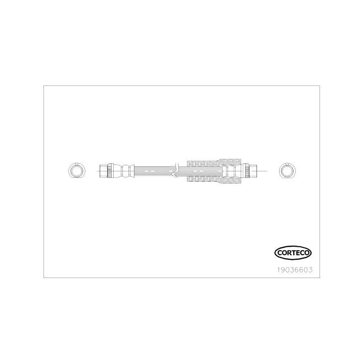 Stabdžių žarnelė CORTECO 19036603