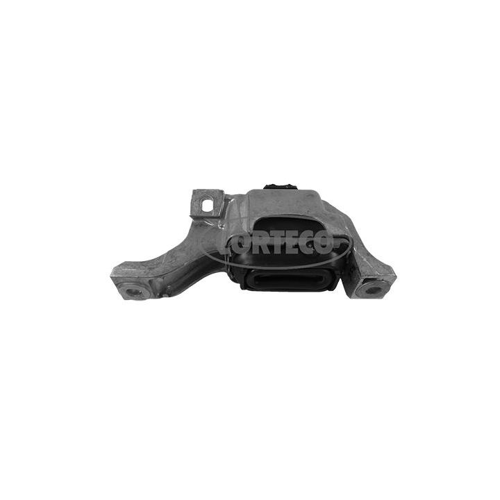 Variklio montavimas CORTECO 49356091