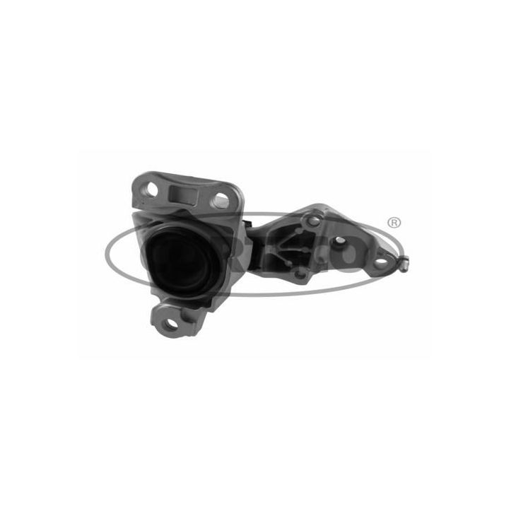 Variklio montavimas CORTECO 49361431