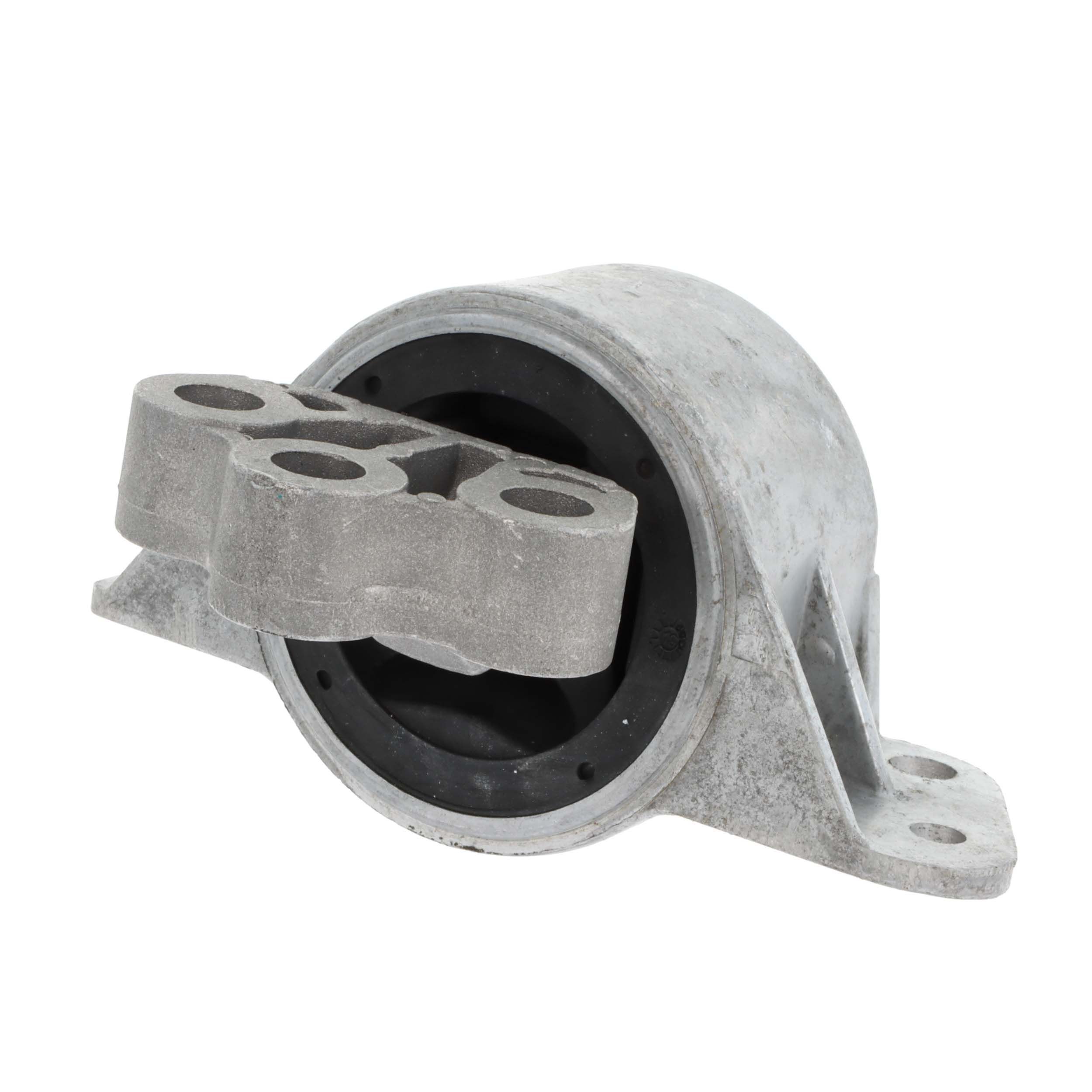 Variklio montavimas CORTECO 49374327