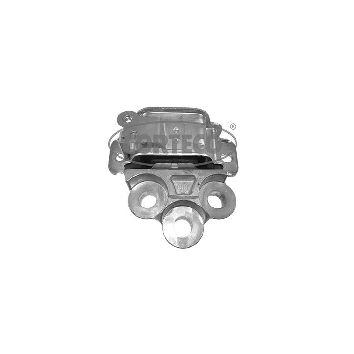 Variklio montavimas CORTECO 49374411