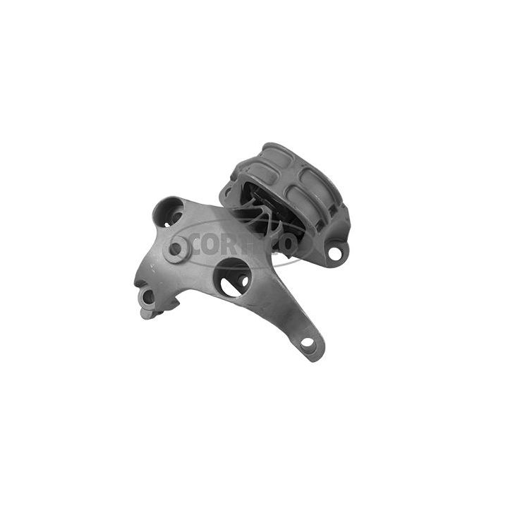 Variklio montavimas CORTECO 49381758