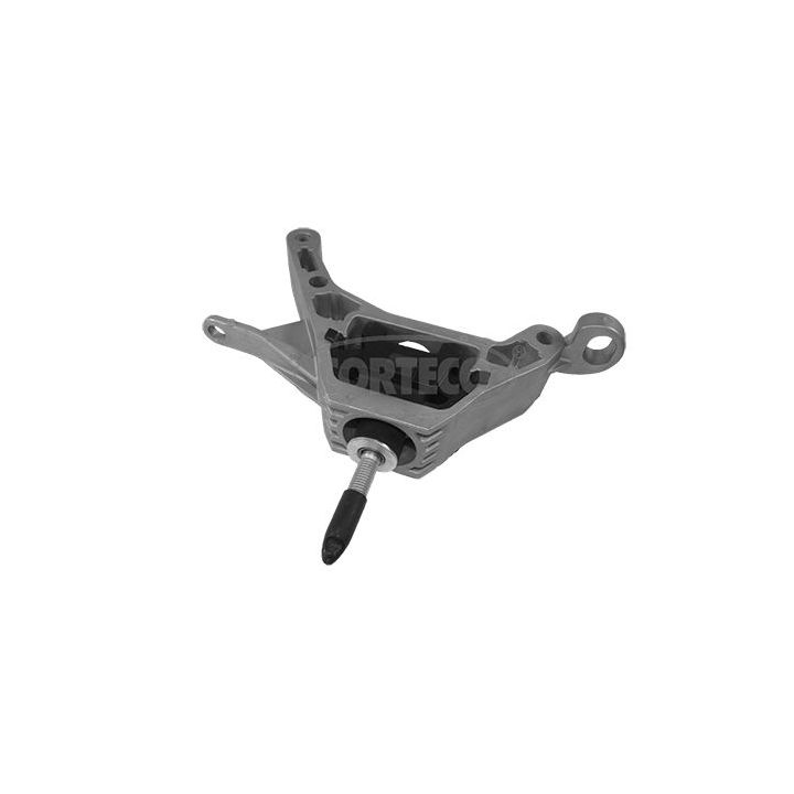 Variklio montavimas CORTECO 49384667