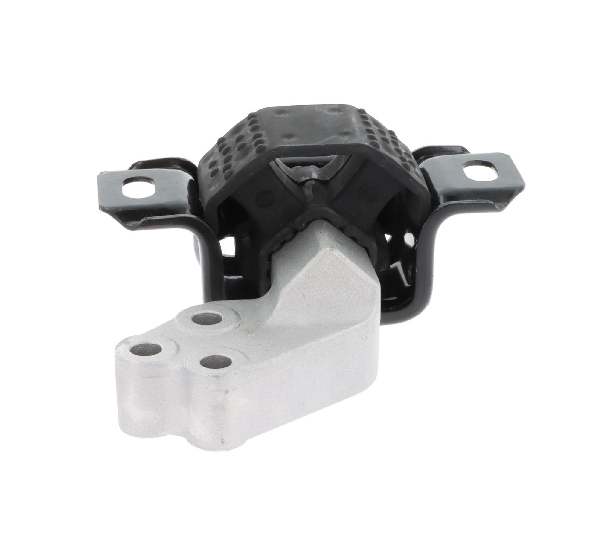 Variklio montavimas CORTECO 49384703