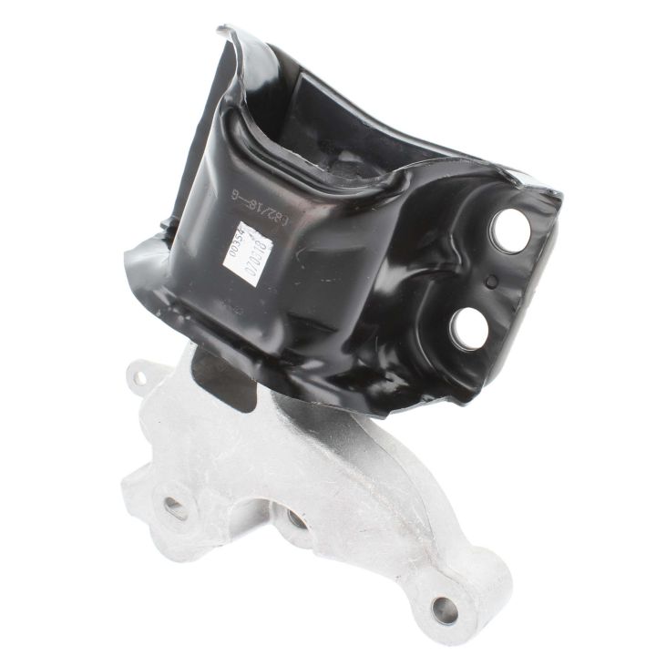 Variklio montavimas CORTECO 49388302