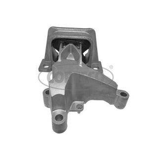 Variklio montavimas CORTECO 49402615