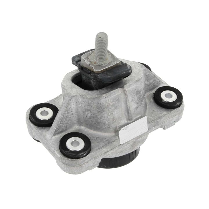 Variklio montavimas CORTECO 49417800